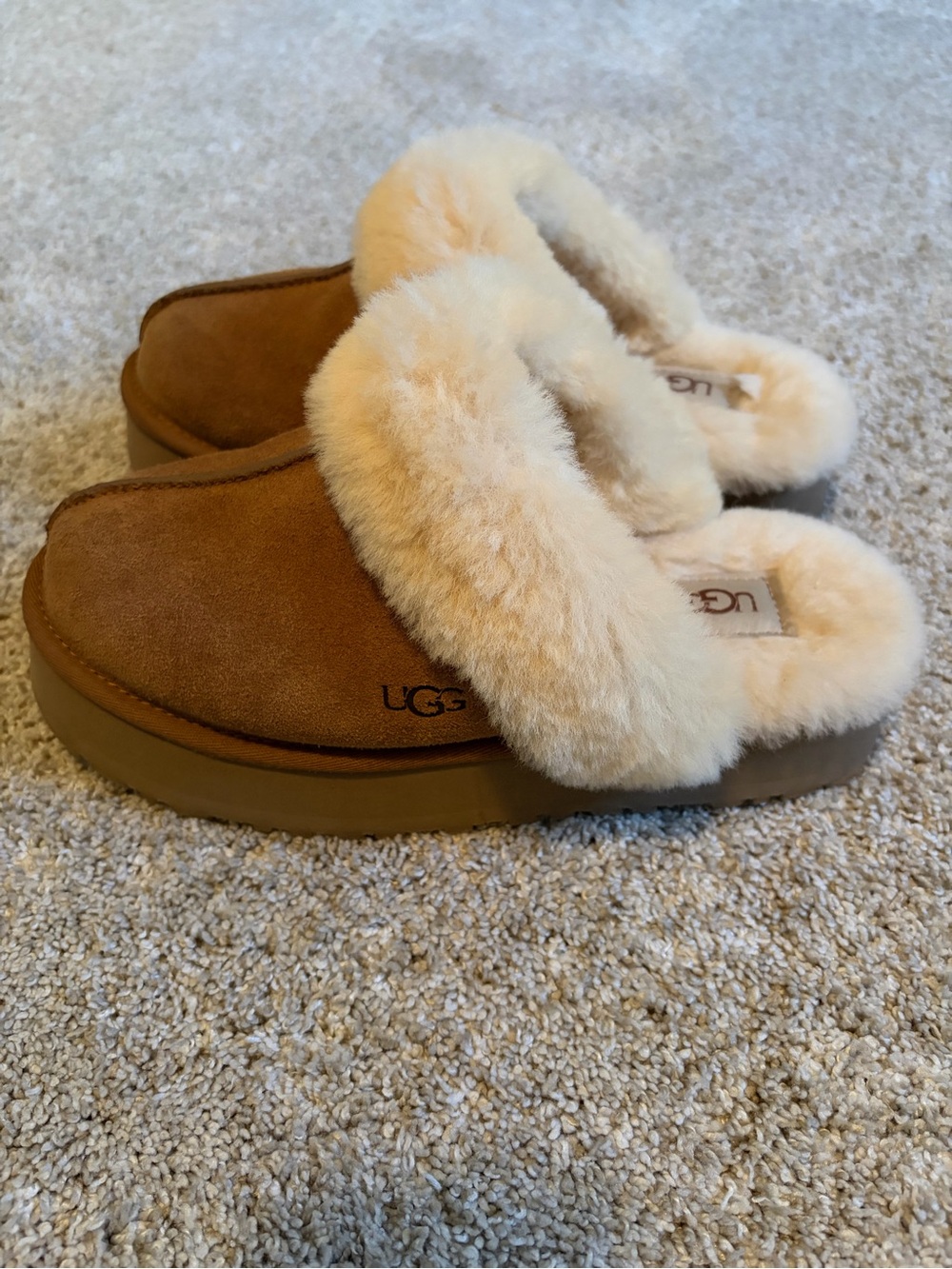 UGG Women's Suede Slipper Clog in Chestnut with Cream Shearling